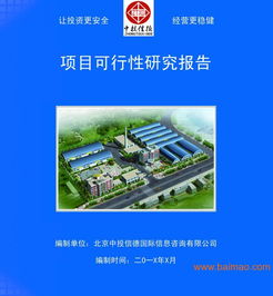 树脂、涂料及胶粘剂产品项目可行性研究报告 关键要素与专业咨询指南
