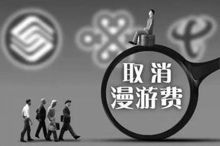 中投顾问 政策引领与咨询服务的新时代变革